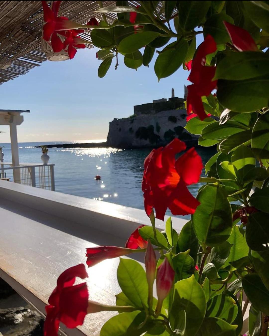 Casa Carlotta Villa Monopoli Buitenkant foto